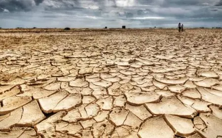الأمم المتحدة: 3/4 من مساحات اليابسة أصبحت أكثر جفافا بشكل دائم