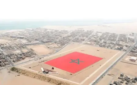 الشيلي تجدد دعمها للحكم الذاتي في الصحراء المغربية