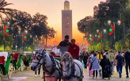 مشروع مرسوم جديد لتحسين فعالية المصالح اللاممركزة على المستوى الجهوي