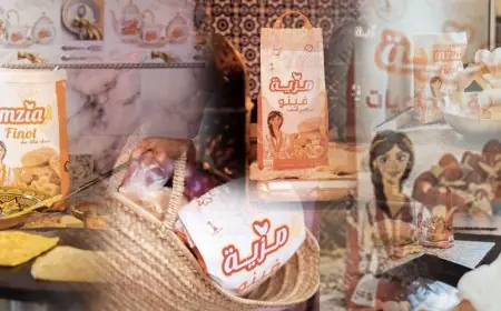 مجموعة MZIA توسع استثماراتها لدعم قدراتها اللوجستية والصناعية