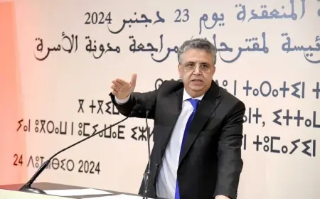 عبد اللطيف وهبي يكشف عن تعديلات مرتقبة في مدونة الأسرة
