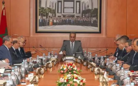المديرية العامة للأمن الوطني تستعرض حصيلة سنة 2024
