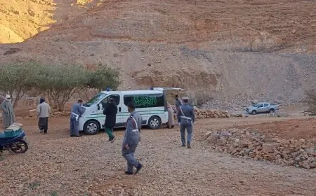 العثور على جثة رجل أكلتها الكلاب يستنفر درك تافراوت