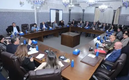 البام يدعو لتسريع إصلاح مدونة الأسرة ويشيد بالتقدم المحرز في التعديلات القانونية