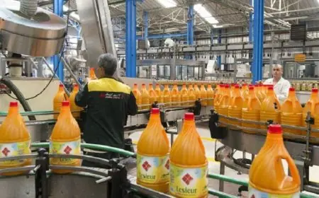 لوسيور كريسطال تحضغ لمراجعة ضريبية وتؤدي مبلغا بـ 110 مليون درهم