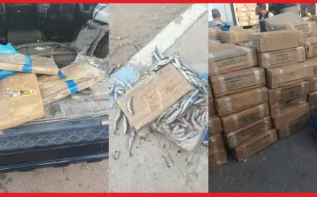 إحباط محاولة لتهريب ثلاثة أطنان من مخدر الشيرا عبر معبر الكركارات