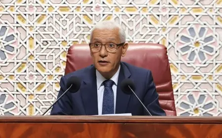 الطالبي العلمي يمثل الملك محمد السادس في حفل تنصيب رئيس غانا