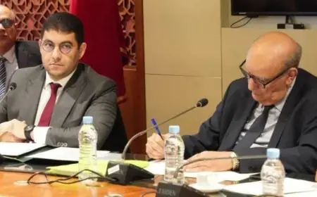 بنسعيد يعلن نهاية الدعم الاستثنائي لقطاع الصحافة في مارس المقبل
