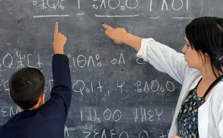 650 ألف تلميذ يتعلمون الأمازيغية و40% من المدارس الابتدائية تدرسها