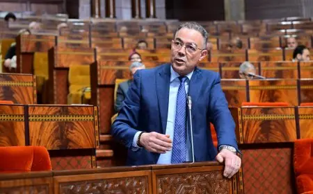 لقجع: الزيادة في أسعار الغاز غير موجودة على طاولة الحكومة حاليا