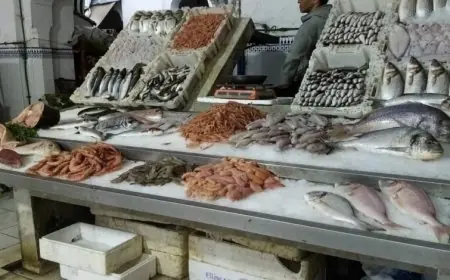 بالتزامن مع معرض اليوتيس .. إرتفاع ثمن سمك السردين بالمغرب يغضب المواطنين
