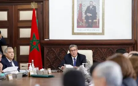 مجلس الحكومة يصادق على تعيينات جديدة في مناصب عليا