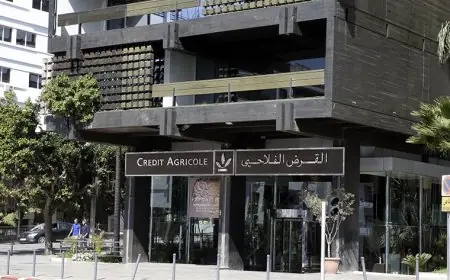 هل هي أزمة مالية غير معلنة ؟ القرض الفلاحي يفوت ممتلكاته