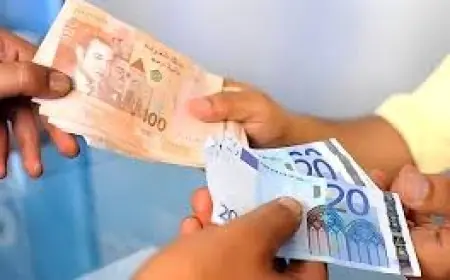 تحويلات مغاربة العالم تتجاوز 117 مليار درهم خلال سنة 2024