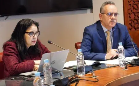 المغرب يطلق منصة رقمية لتجميع الخدمات العمومية