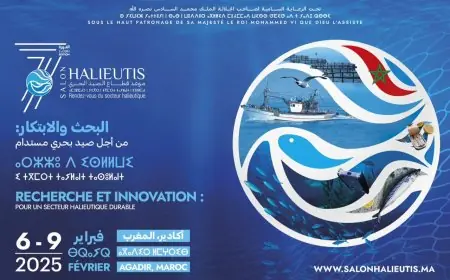 المقاولات الإعلامية بسوس تستنكر إقصاءها من "إشهارات اليوتيس"