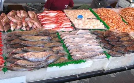 زكية الدريوش تؤكد توفر السمك في رمضان بأسعار تتراوح بين 17 و100 درهم