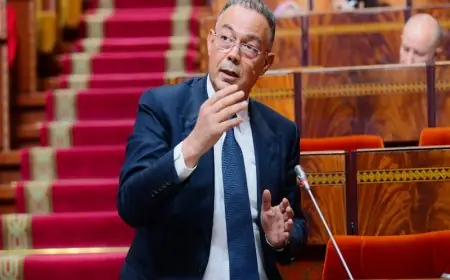 لقجع: مداخيل الضرائب تتجاوز التوقعات بنسبة 110.8% خلال سنة 2024