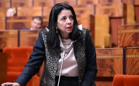 المغرب يطلق أكثر من 600 خدمة عمومية رقمية لتعزيز التحول الرقمي