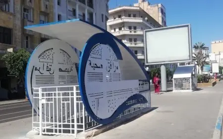 عريضة تطالب بإنشاء مرافق صحية عمومية في الرباط