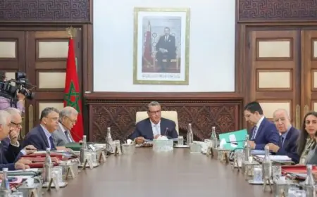 مجلس الحكومة يصادق على تعيينات جديدة في المناصب العليا