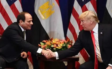 مصر ترفض عرضا أمريكيا لتهجير الفلسطينيين مقابل مليارات الدولارات