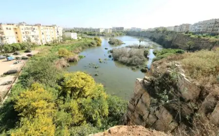 الدار البيضاء تستعد لإطلاق مشروع إعادة تأهيل بركة الولفة