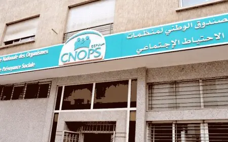 الصندوق الوطني لمنظمات الاحتياط الاجتماعي يطلق موقعه الإلكتروني الجديد
