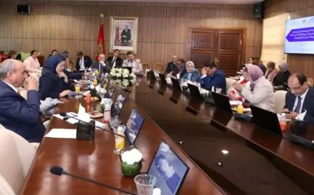 مجلس المستشارين يصادق على قانون جديد لتتميم مدونة الأدوية والصيدلة