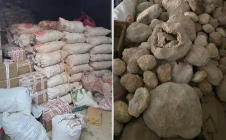 الدرك الملكي يحجز 24 طنا من الأحجار الكريمة والمستحاثات النادرة بضواحي أكادير