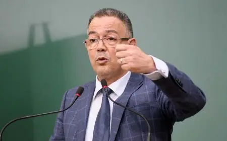 لقجع: التسوية الجبائية الطوعية عززت ثقة المواطنين في الحكومة