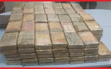 إجهاض محاولة تهريب 183 كيلوغرام من الكوكايين بمعبر الكركارات