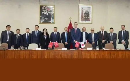 المغرب يعزز استقراره الطاقي بإنشاء "محطة الوحدة" في وزان بتقنيات "ميتسوبيشي باور" المتطورة