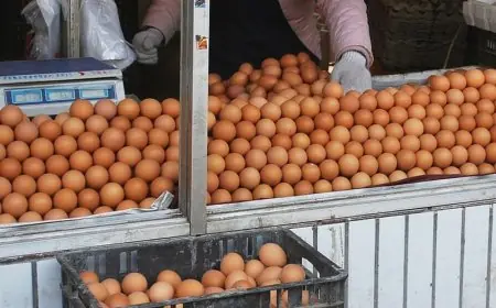 ارتفاع أسعار البيض بشكل كبير في الأسواق المغربية
