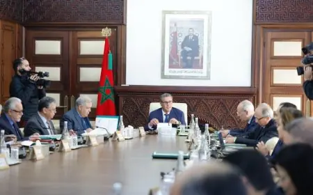 مجلس الحكومة يستعرض خطة لدعم فرص الشغل بالمغرب