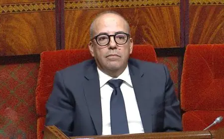 البواري يكشف عن تدهور المخزون المائي وتأثيره على الفلاحة في المغرب