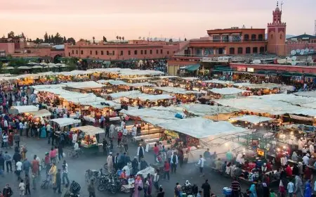 مندوبية التخطيط: متوسط دخل الأسر المغربية يقارب 9 ملايين سنتيم سنوياً
