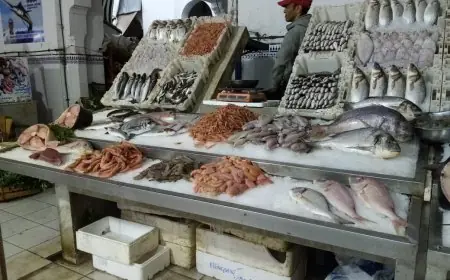 ضجة "مول الحوت" تعيد الجدل بشأن أسعار السمك في بلاد “2 بحور”