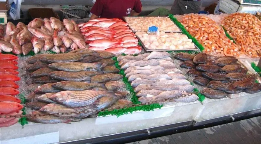 زكية الدريوش تؤكد توفر السمك في رمضان بأسعار تتراوح بين 17 و100 درهم