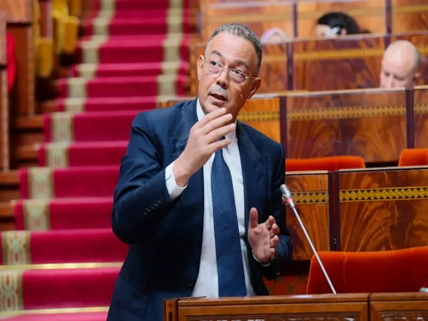 لقجع: مداخيل الضرائب تتجاوز التوقعات بنسبة 110.8% خلال سنة 2024