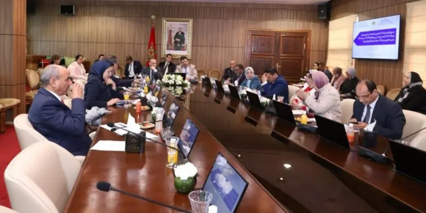 مجلس المستشارين يصادق على قانون جديد لتتميم مدونة الأدوية والصيدلة