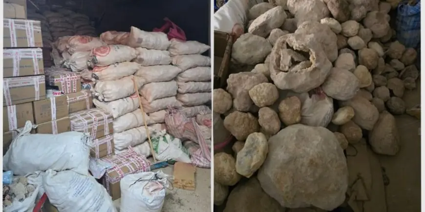الدرك الملكي يحجز 24 طنا من الأحجار الكريمة والمستحاثات النادرة بضواحي أكادير