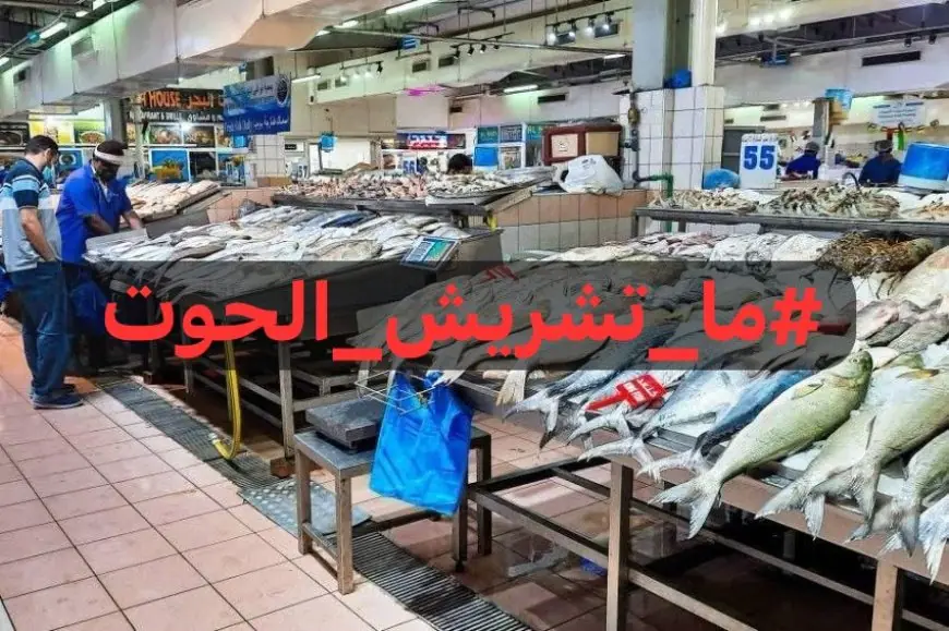 إطلاق حملة لمقاطعة السمك بالمغرب بسبب ارتفاع الأسعار