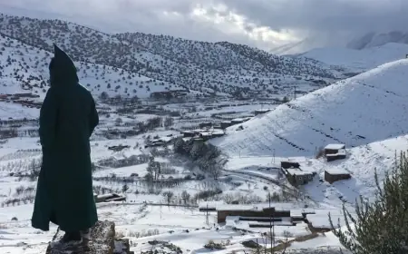 نشرة إنذارية.. تساقطات ثلجية وأمطار رعدية بعدد من مناطق المملكة