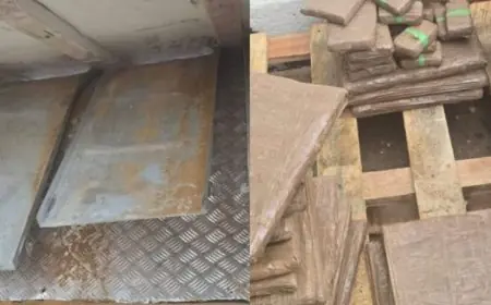إحباط محاولة تهريب دولي للمخدرات بميناء طنجة المتوسط