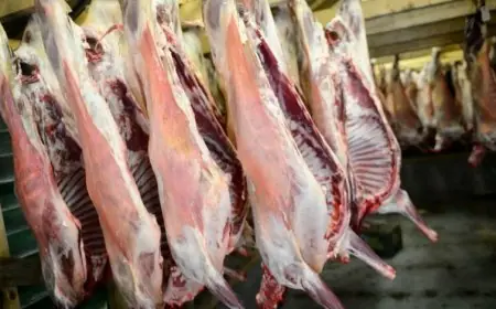 هذه حقيقة وجود مواد مسرطنة وخطيرة في لحوم الأغنام