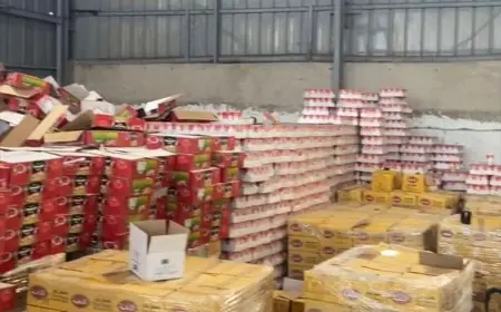 إغلاق مصنع لإعادة تغليف المنتجات المنتهية الصلاحية بالدار البيضاء