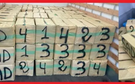 تنسيق أمني يسفر عن ضبط شاحنة محملة بالمخدرات وضبط متورطين