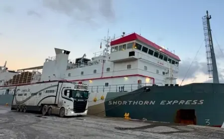 المغرب يتسلم 2000 ثور أيرلندي لدعم سوق اللحوم الحمراء