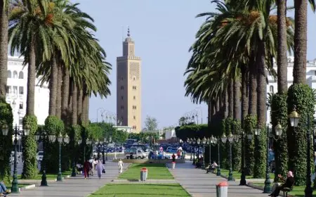 مشروع تهيئة الرباط الجديد يضيف 274 هكتارا من المساحات الخضراء